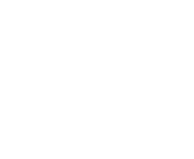 Dog3 Training